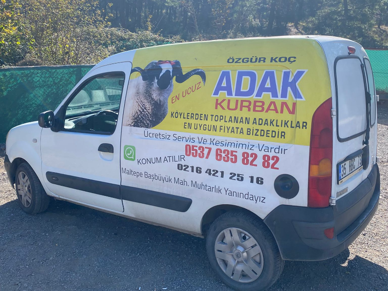 Adaklık keçi - ucuz adaklık keçi satışı