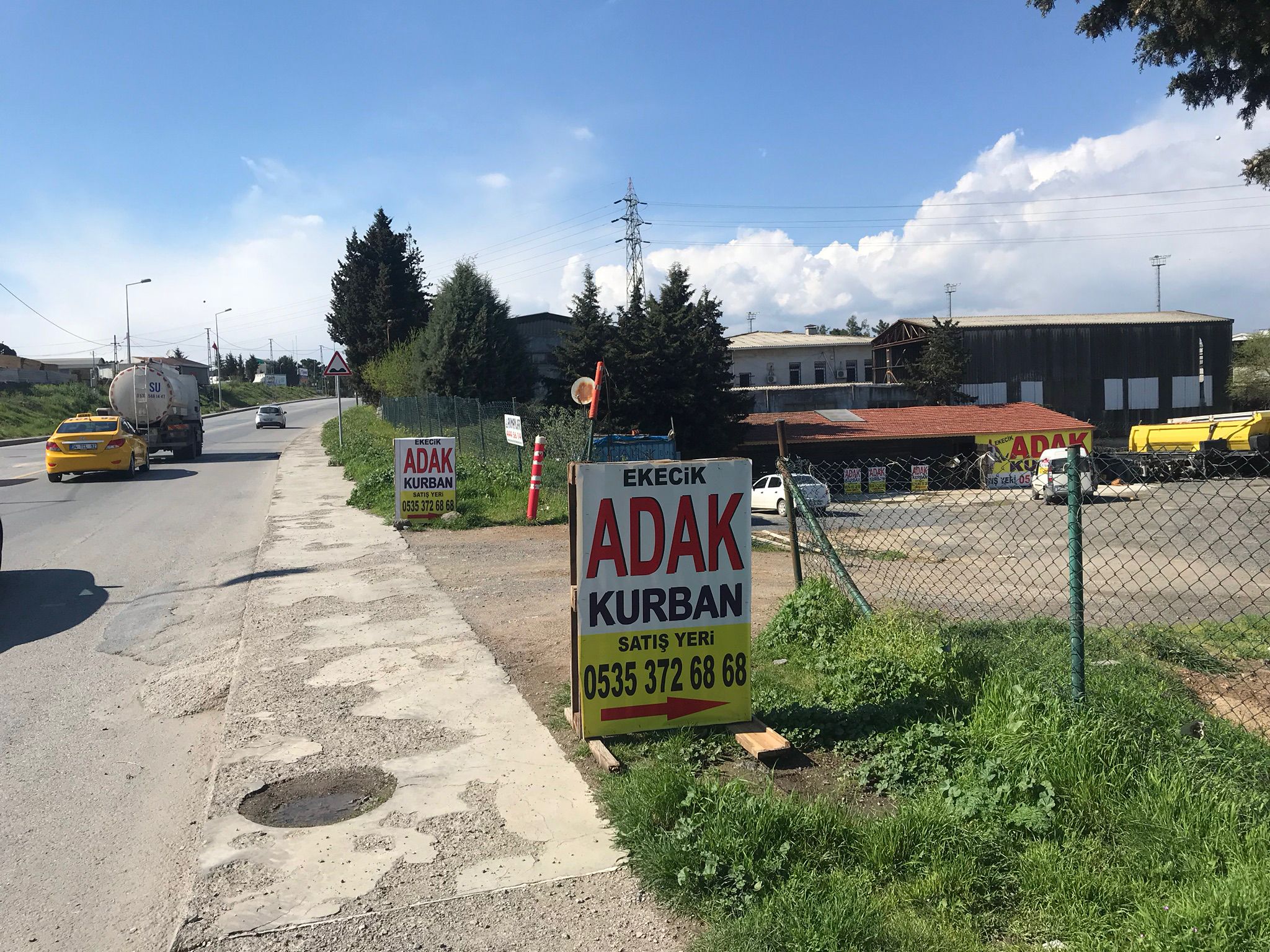 Adaklık kurbanlık ucuz adak satışı