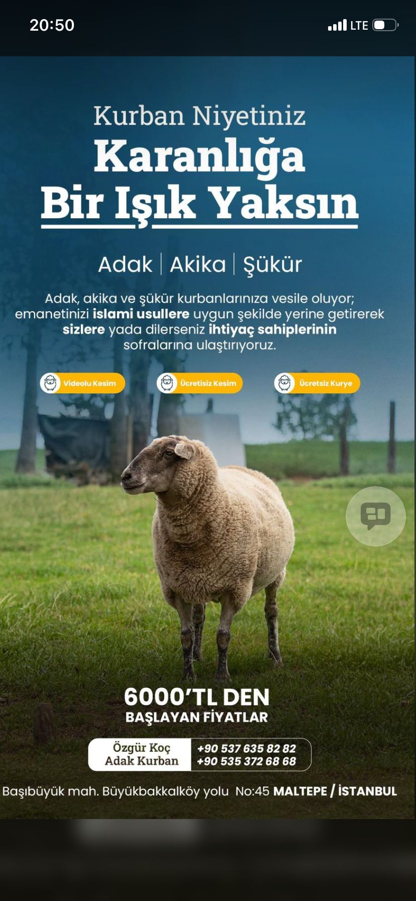 Adaklık kurbanlık ucuz adak satışı